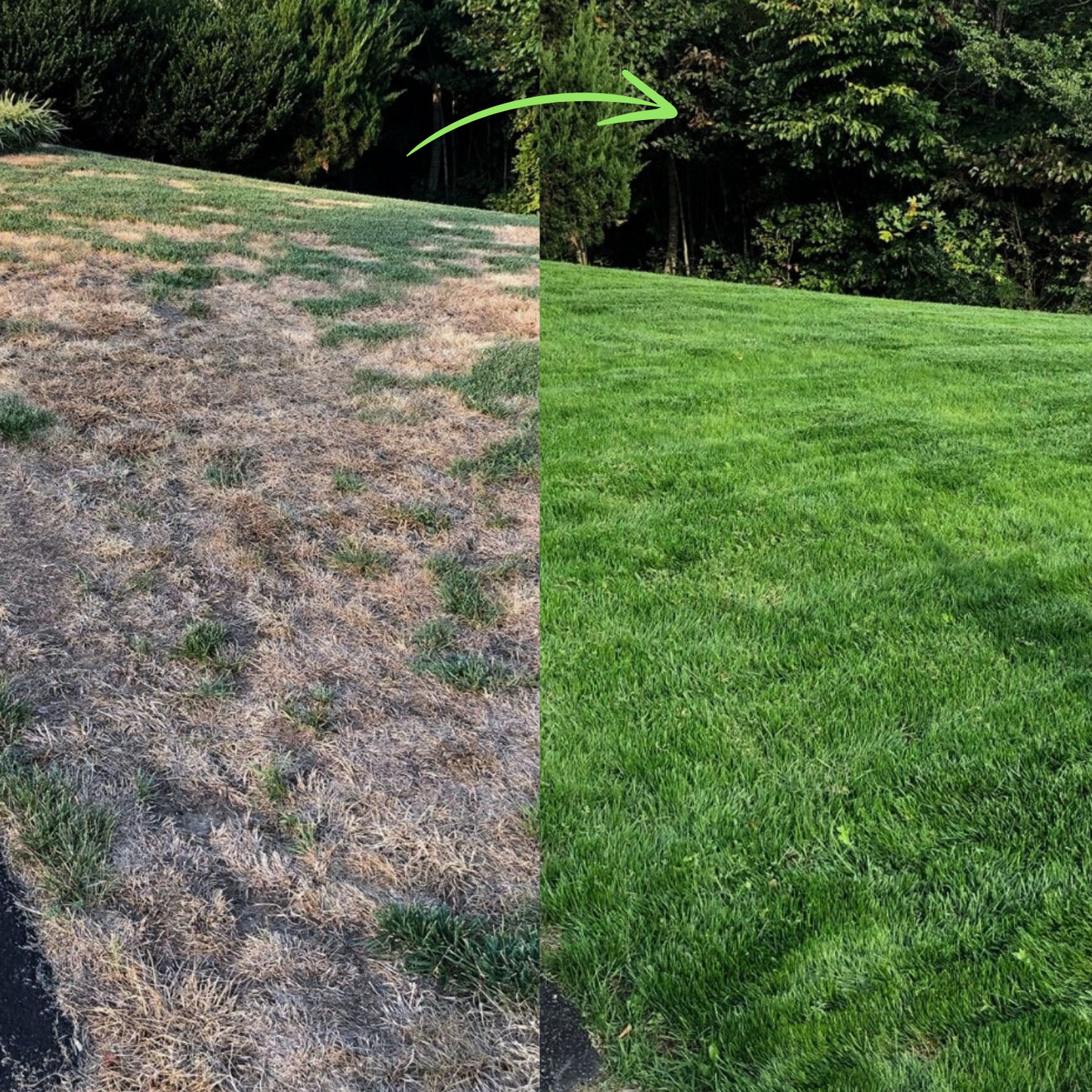 SmartRain Lawn Leveling Tool